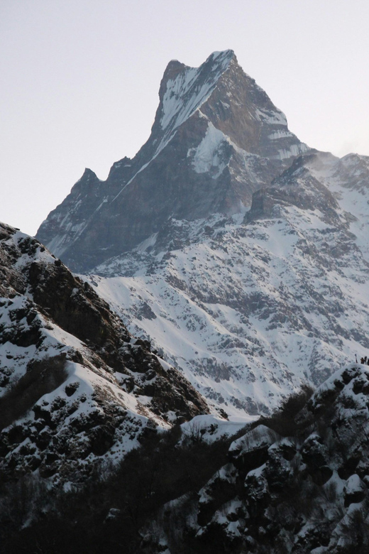 From Pokhara: Explore Mardi Himal Trek in Just 3 Days - Accommodation and Meals