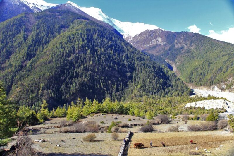 From Pokhara :Explore Muktinath Temple Helicopter Tour - Itinerary and Activities