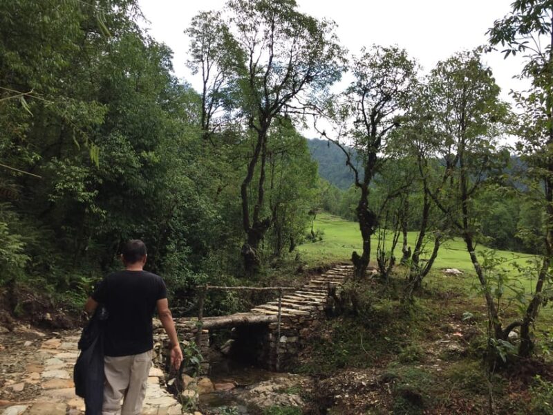 From Pokhara: Full Day Easy Hiking to Australian Camp - Experience Highlights