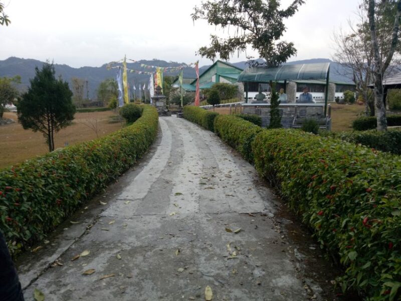 From Pokhara: Full Day Museum Tour - Annapurna Butterfly Museum