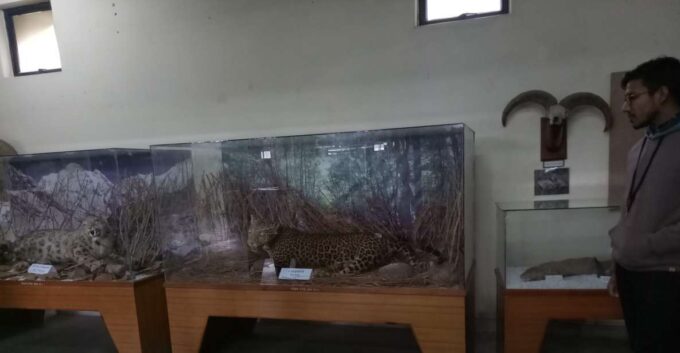 From Pokhara: Full Day Museum Tour - Gupteshwor Mahadev Cave Museum