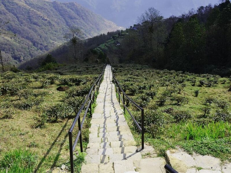 From Pokhara: Ghandruk Village Trek - Key Points