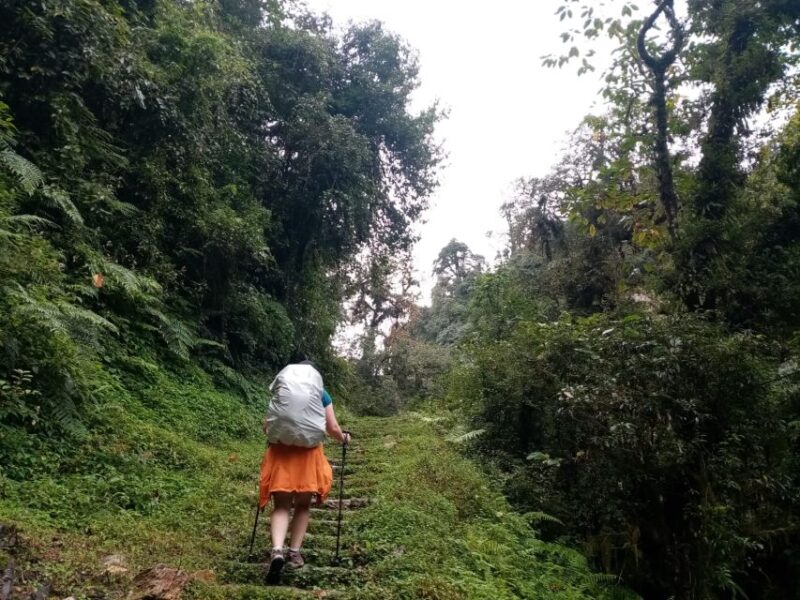 From Pokhara Group Budget: 4 Day Poon Hill Trek - Inclusions and Services