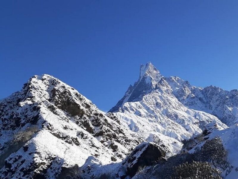 From Pokhara: Guided 3-Days Mardi Himal Trek With Meals - Included Services
