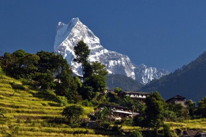 From Pokhara: Guided Day Hike With Annapurna Panoramic View - Pickup and Drop-off Locations