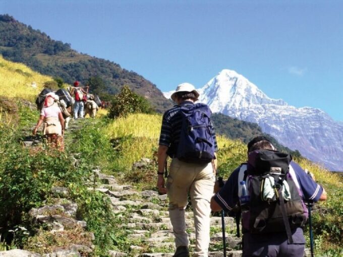 From Pokhara: Guided Day Hike With Annapurna Panoramic View - Cultural Engagement