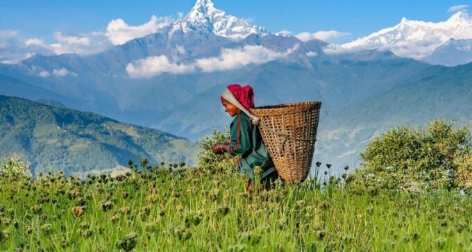 From Pokhara: Guided Day Hike With Annapurna Panoramic View - Scenic Landscapes