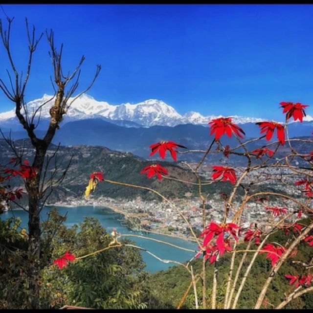 From Pokhara: Guided Day Jungle Hiking Tour With Boat Ride - Hotel Pickup Options