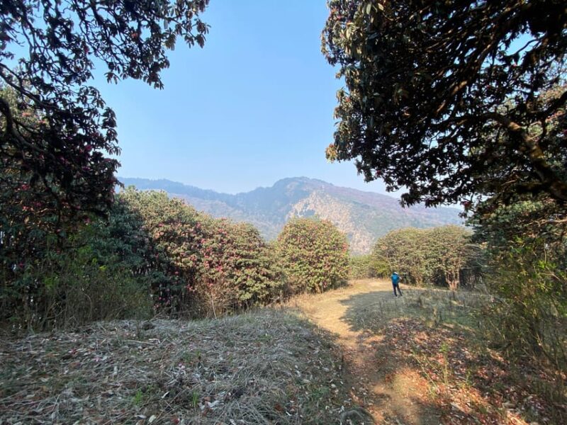 From Pokhara: Poon Hill Day Tour With Short Hiking - Key Points