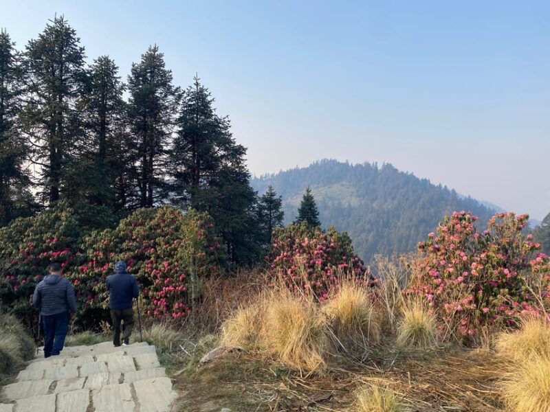 From Pokhara: Poon Hill Day Tour With Short Hiking - Inclusions and Exclusions