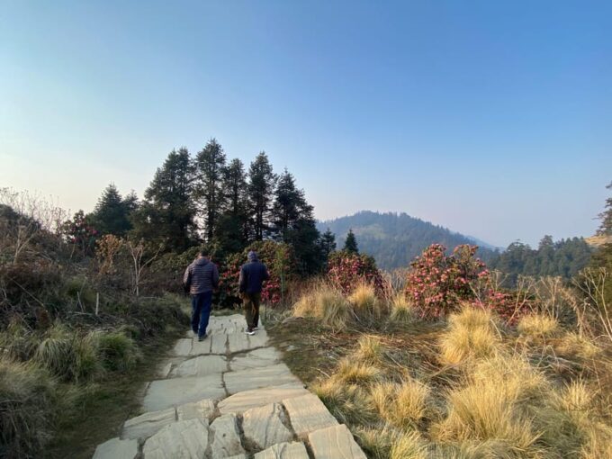 From Pokhara: Poon Hill Day Tour With Short Hiking - Requirements