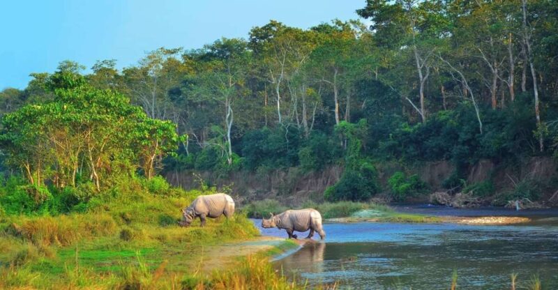 From Pokhara: Private 3-Day Chitwan Jungle Safari Tour - Key Points