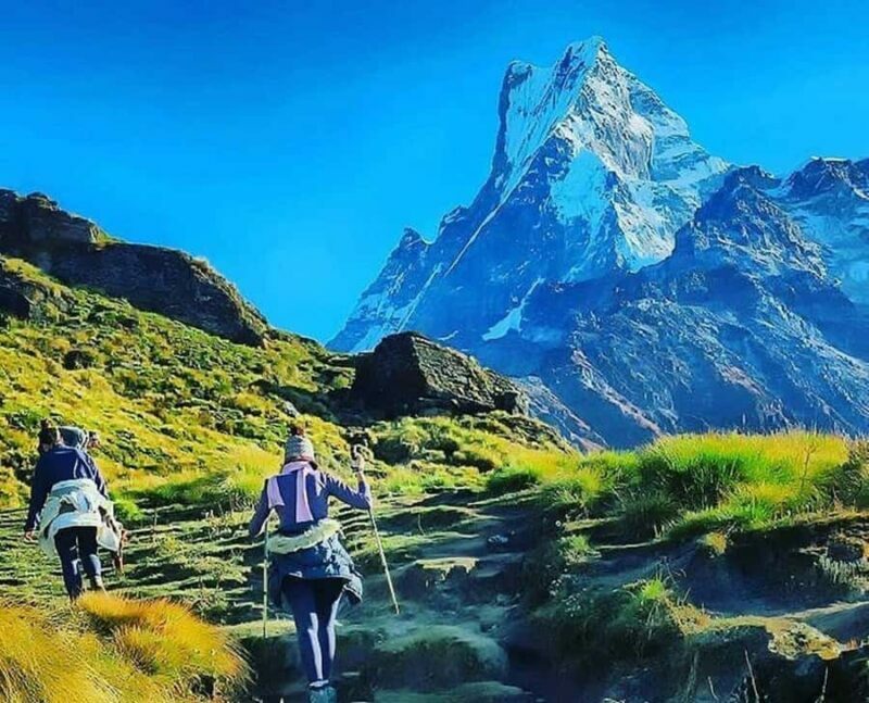 From Pokhara: Private 4-Day Mardi Himal Base Camp Trek - Key Points