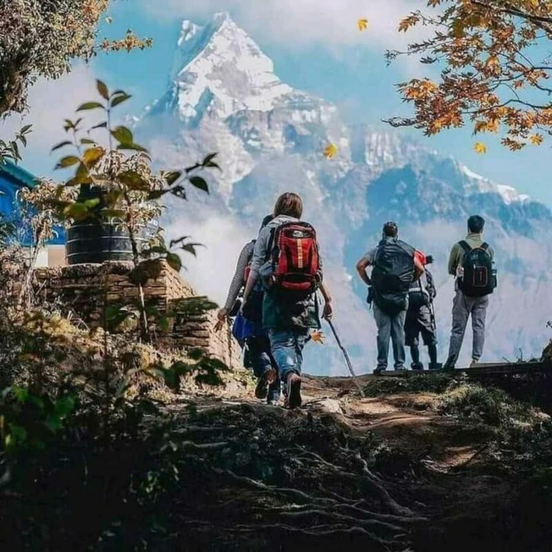From Pokhara: Private 4-Day Mardi Himal Base Camp Trek - Who Is This Trek Best Suited For?