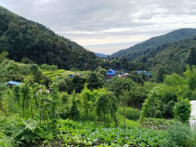 From Pokhara: Scenic Adventure: 2-Day Private Poon Hill Trek - Trekking Experience