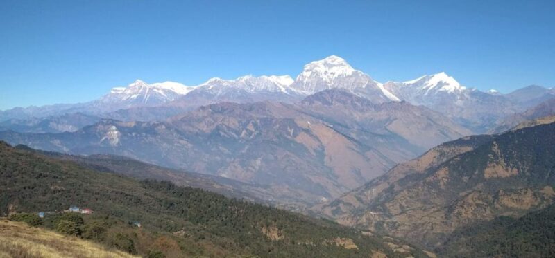 From Pokhara: Short 1 Night 2 Day Ghorepani Poon Hill Trek - Local Culture and Experiences