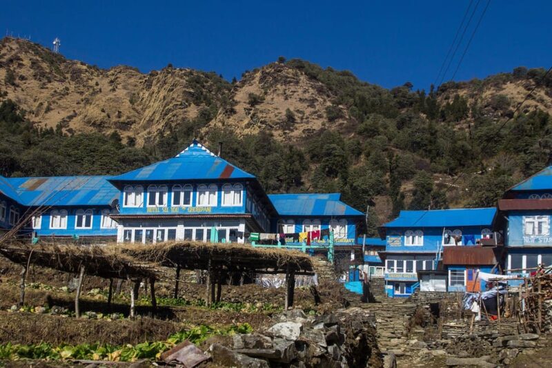 From Pokhara: Short 1 Night 2 Day Ghorepani Poon Hill Trek - Scenic Mountain Views
