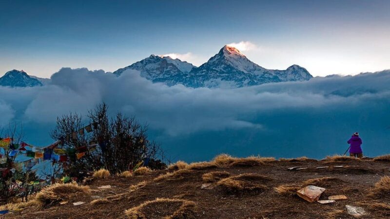 From Pokhara: Short 1 Night 2 Day Ghorepani Poon Hill Trek - Trekking Seasons