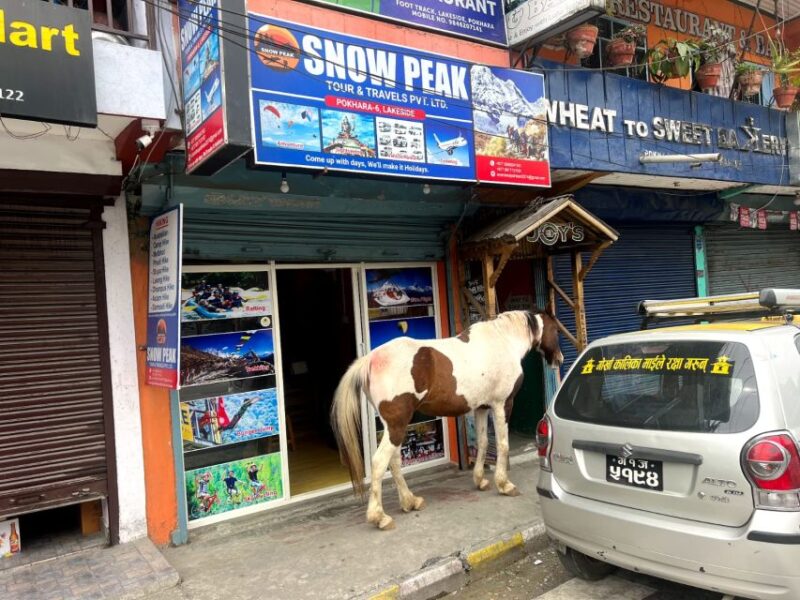 From Pokhara: Unforgettable Horseback Riding Adventure - Picturesque Landscapes