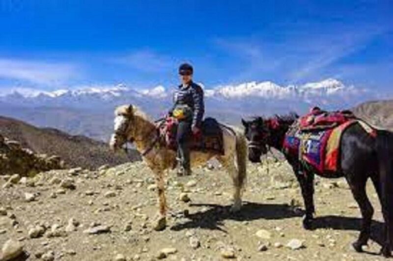 From Pokhara: Unforgettable Horseback Riding Adventure - Key Features