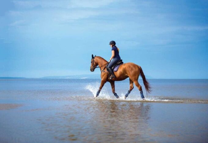 From Pokhara: Unforgettable Horseback Riding Adventure - Whats Included
