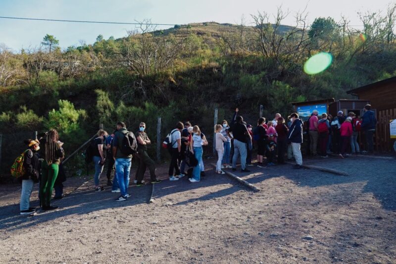 From Pompeii: Mount Vesuvius Guided Tour With Transfer - Customer Reviews and Ratings