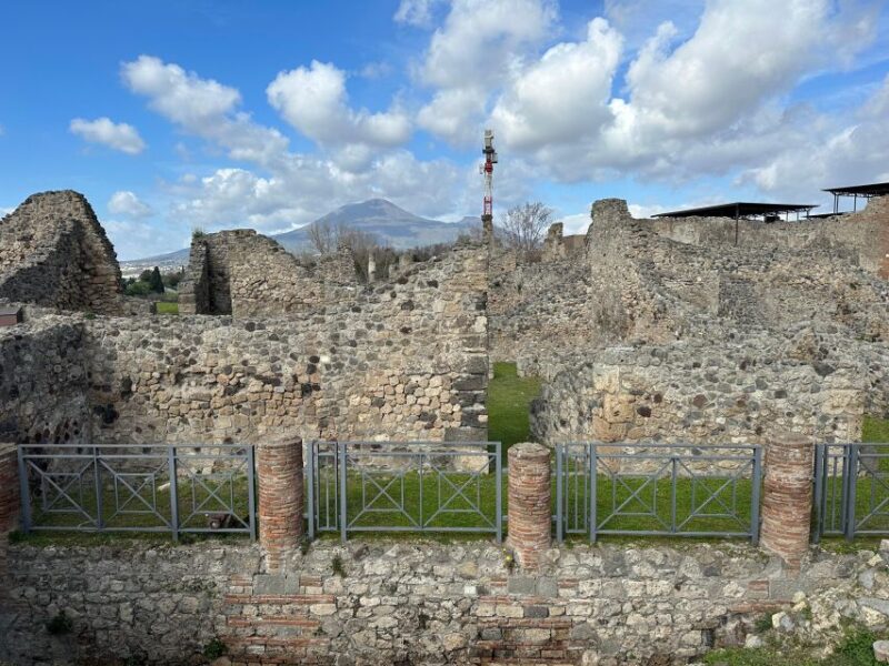 From Pompeii: Vesuvius Excursion + Pompeii Guided Tour - Guided Tour of Pompeii