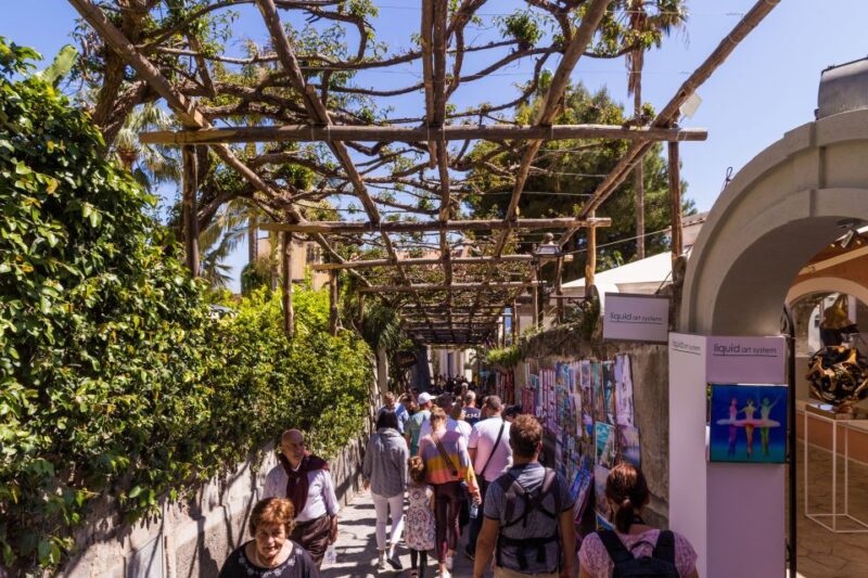 From Pompeii/Vico Equense: Amalfi, Positano, & Ravello Tour - Transportation and Logistics