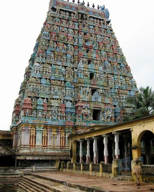 From Pondicherry: Day Tour to Mahabalipuram and Kanchipuram - Included Services