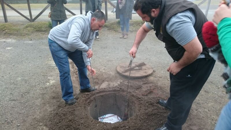 From Ponta Delgada: Furnas Guided Day Trip & 4x4 Adventure - Participant Information