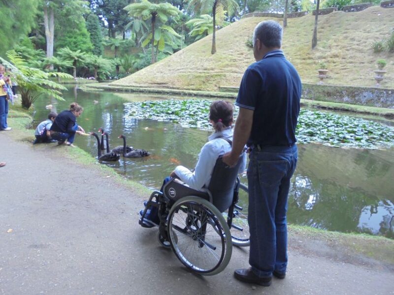 From Ponta Delgada: Furnas Wheelchair Accessible Van Tour - Accessibility Features