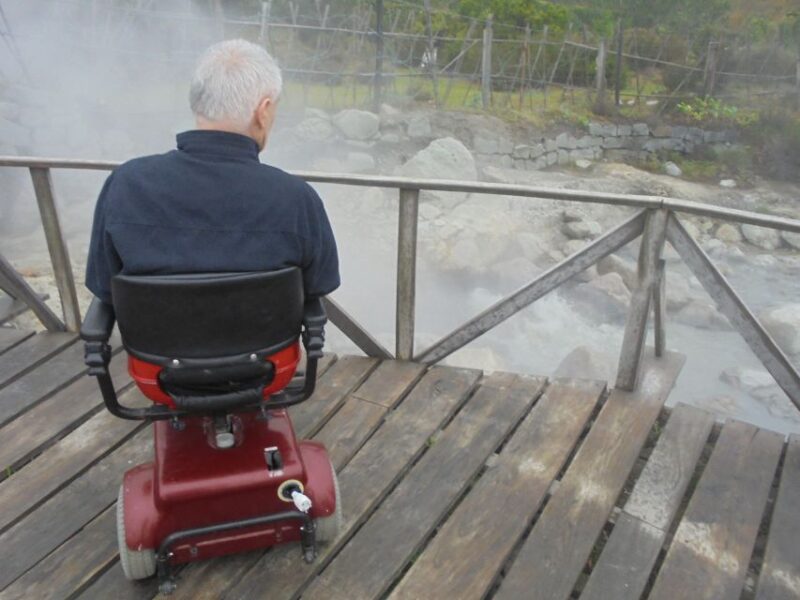 From Ponta Delgada: Furnas Wheelchair Accessible Van Tour - Booking Information
