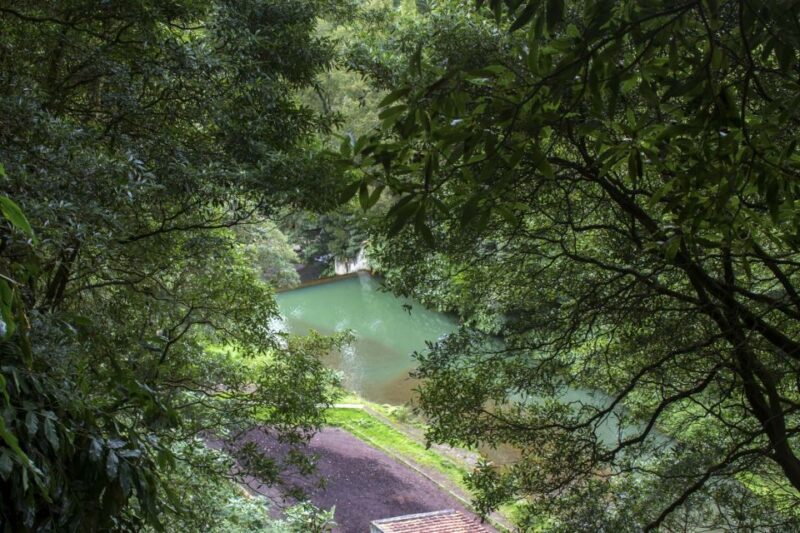 From Ponta Delgada: Guided Walking Tour to Salto Do Cabrito - Salto Do Cabrito Waterfall