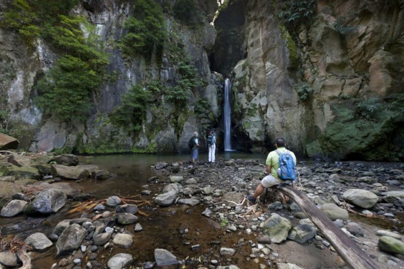 From Ponta Delgada: Guided Walking Tour to Salto Do Cabrito - Key Points