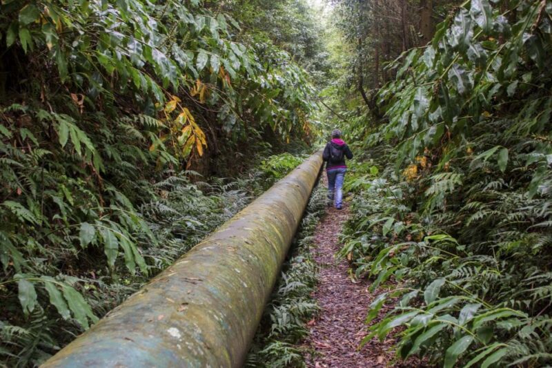 From Ponta Delgada: Guided Walking Tour to Salto Do Cabrito - Highlights and Experience