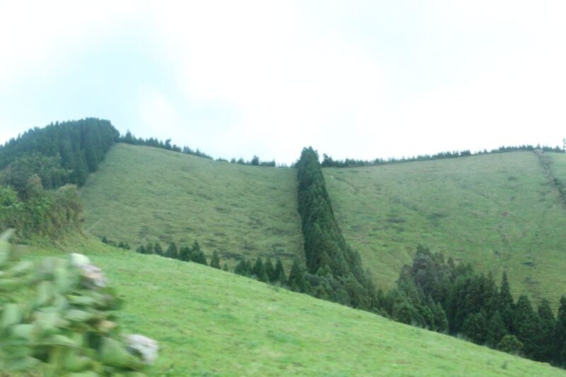 From Ponta Delgada: Lagoa Do Fogo Half-Day Guided Trip - Important Details for Participants