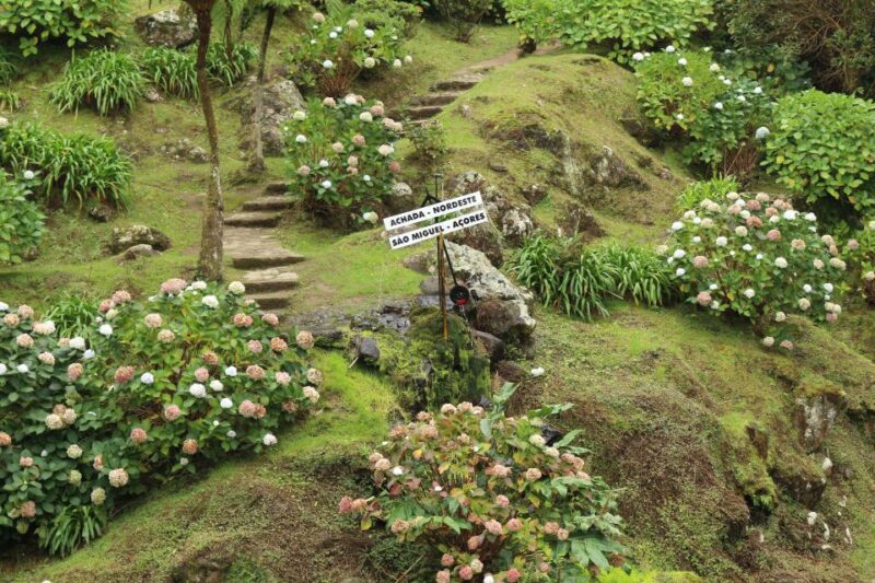 From Ponta Delgada: Nordeste 4x4 Guided Day Trip & Lunch - Inclusions and Amenities