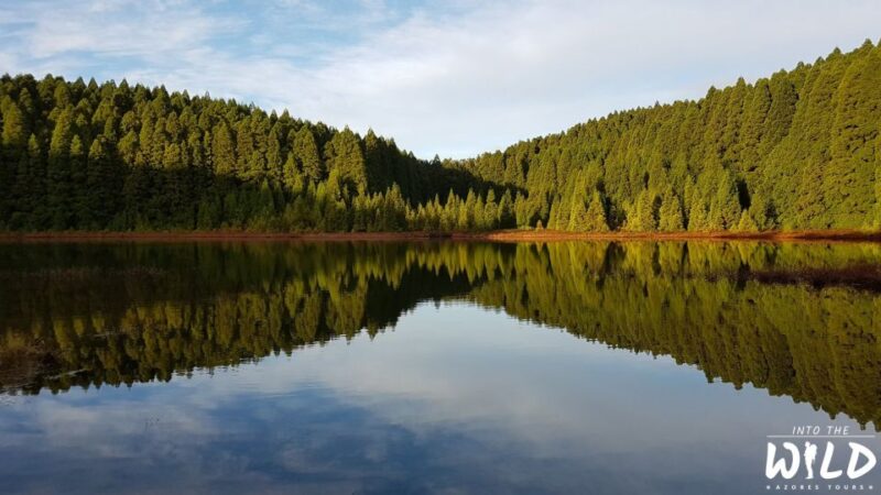 From Ponta Delgada: Sete Cidades Guided Tour - Local Guide Insights