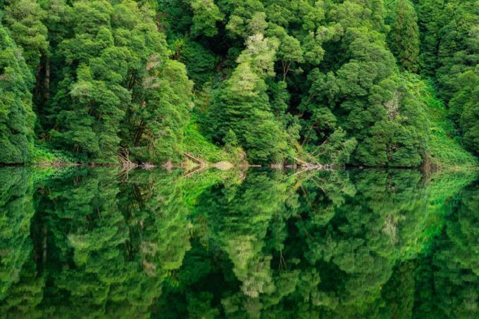 From Ponta Delgada: Sete Cidades Jeep, Bike, & Kayak Ride - Customer Ratings