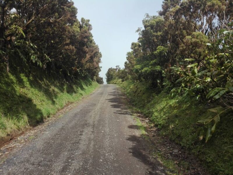 From Ponta Delgada: Sete Cidades Walk, Tasting and Kayaking - Included in the Tour
