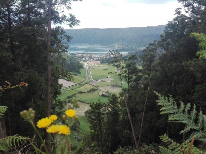 From Ponta Delgada: Sete Cidades Walk, Tasting and Kayaking - Key Points