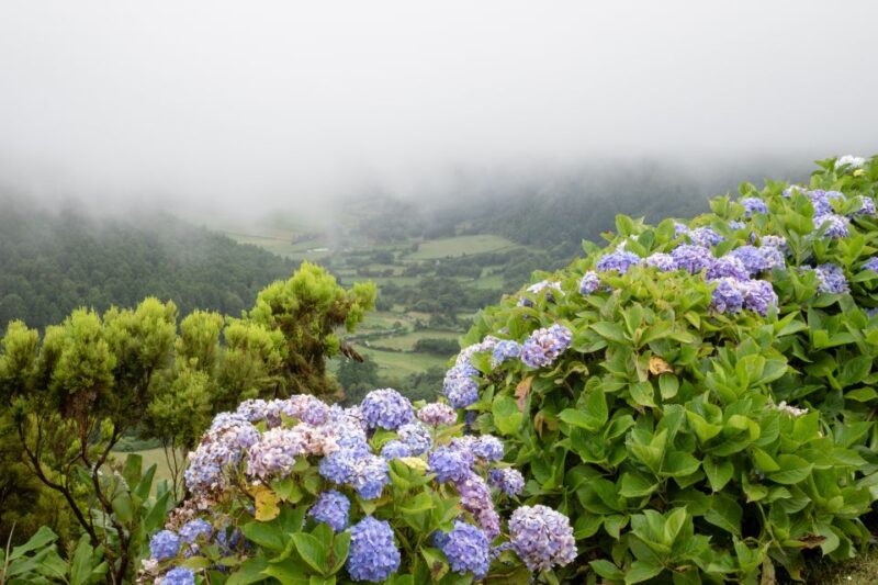 From Ponta Delgada: Vista Do Rei to Sete Cidades Guided Trek - Key Points