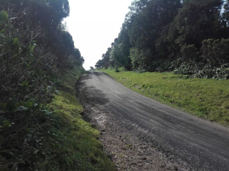 From Ponta Delgada: Vista Do Rei to Sete Cidades Guided Trek - Trekking Experience