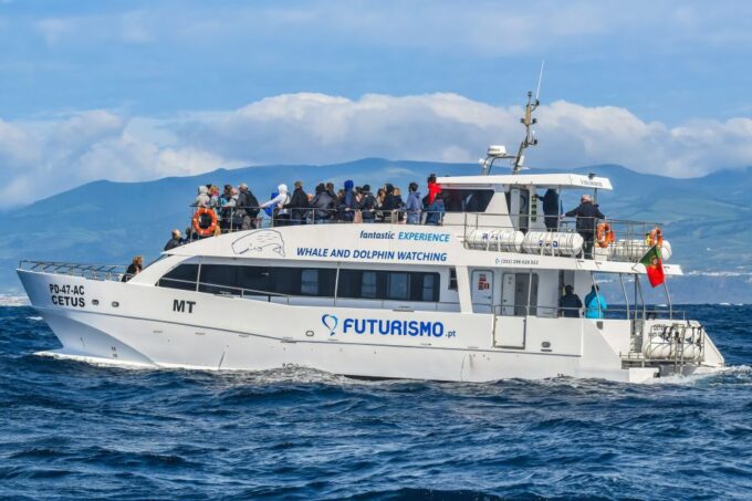 From Ponta Delgada: Whale and Dolphin Watching Trip - Frequently Asked Questions