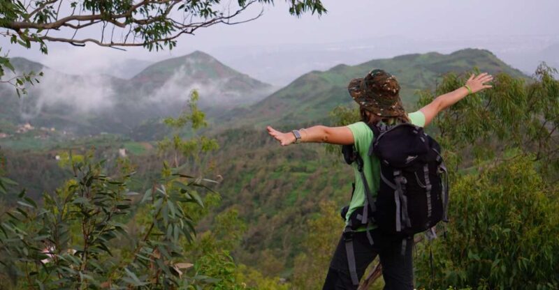 From Ponta Do Sol: Full-Day Nature Hike With a Guide - Inclusions