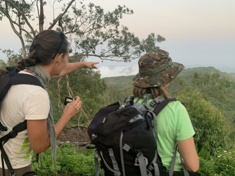 From Ponta Do Sol: Full-Day Nature Hike With a Guide - Itinerary Highlights