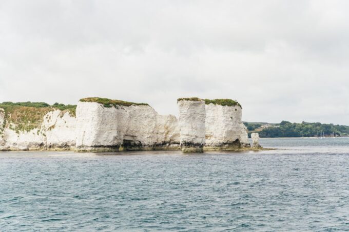 From Poole: Round-trip Jurassic Coastal Cruise to Swanage - Experiencing the Journey