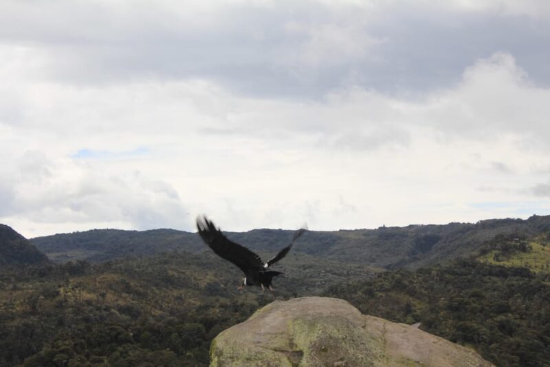 From Popayán: Day Trip to Puracé National Park - Experience and Activities