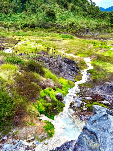 From Popayán: Day Trip to Puracé National Park - Pricing and Booking