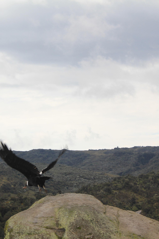 From Popayán: Day Trip to Puracé National Park - Experience and Activities